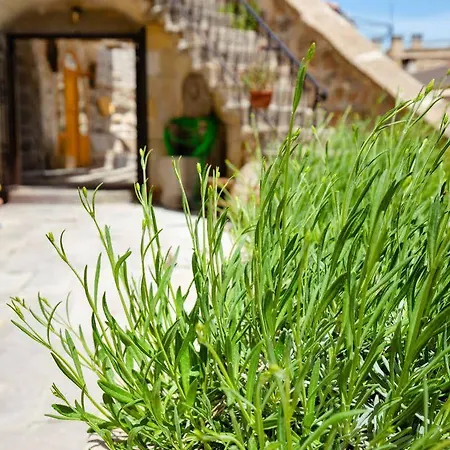 Lava Cappadocia Hotel 3*